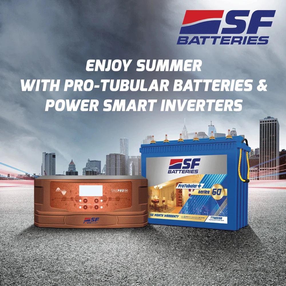 Inverter Battery